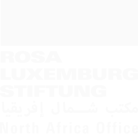 Rosa Luxemburg Stiftung Logo